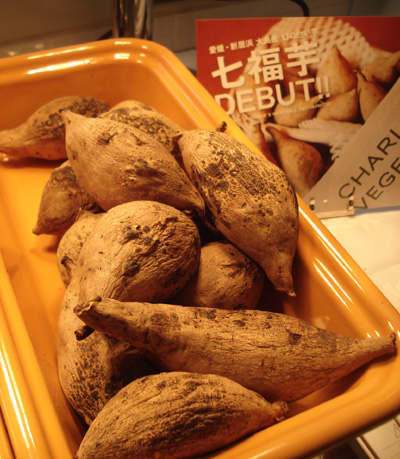 2009.1.7 chariveji2.jpg