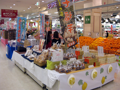 2010.3.26 jyasuco2.jpg