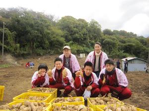 2011.1.23 imohori1.jpg