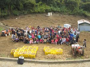 2011.1.23 imohori2.jpg